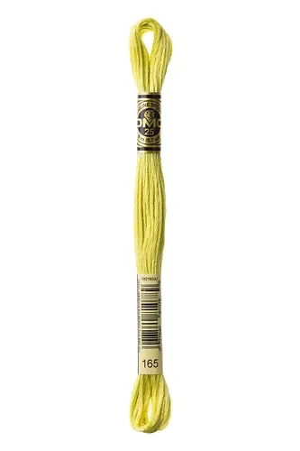 Embroidery Floss in Linden Green 165