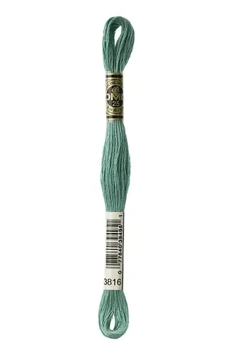 Embroidery Floss in Serpent 3816 