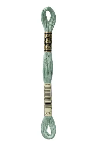 Embroidery Floss in Poplar 3817 