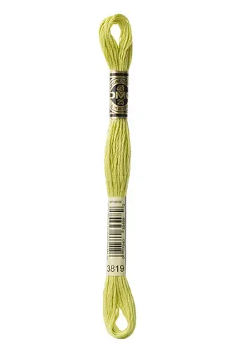 Embroidery Floss in Aurous Green 3819 