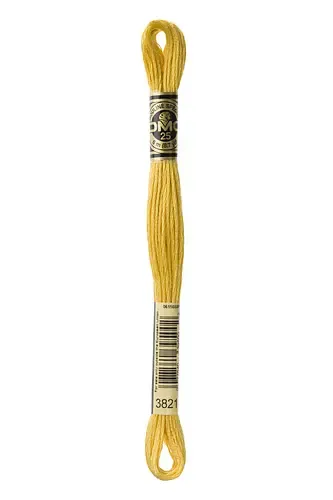 Embroidery Floss in Mango 3821 