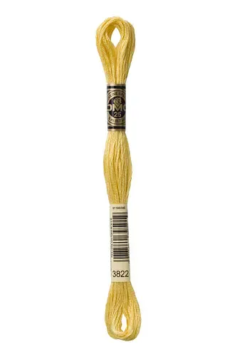 Embroidery Floss in Corn Husk 3822 