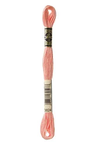 Embroidery Floss in Strawberry Chew 3824 