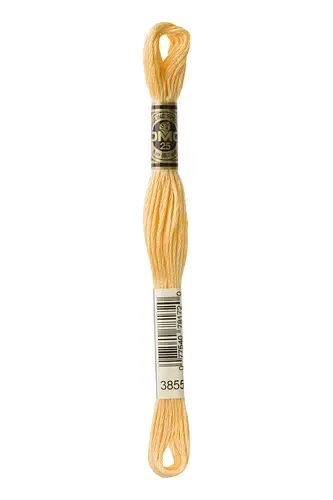 Embroidery Floss in Desert Winds 3855 