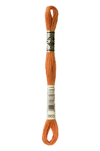 Embroidery Floss in Copper 3853 