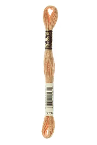 Embroidery Floss in Buff 3856 