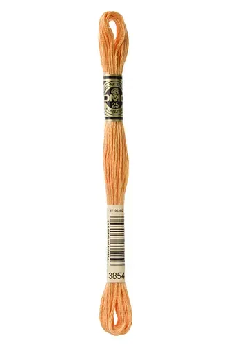 Embroidery Floss in Chai Spice 3854 
