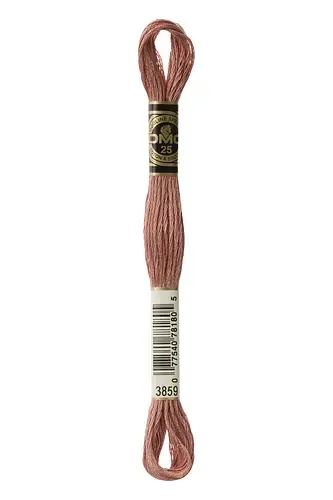 Embroidery Floss in Clay 3859 