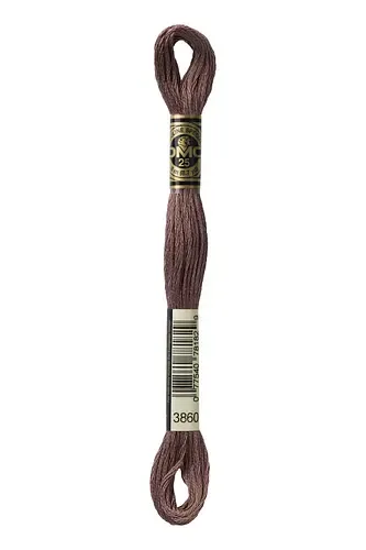 Embroidery Floss in Dark Taupe 3860 