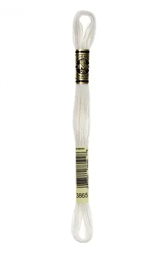 Embroidery Floss in Edelweiss 3865 