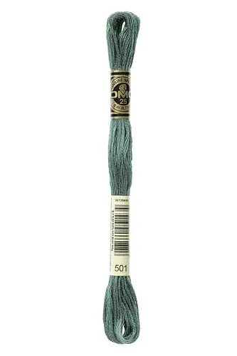 Embroidery Floss in Pond Green 501