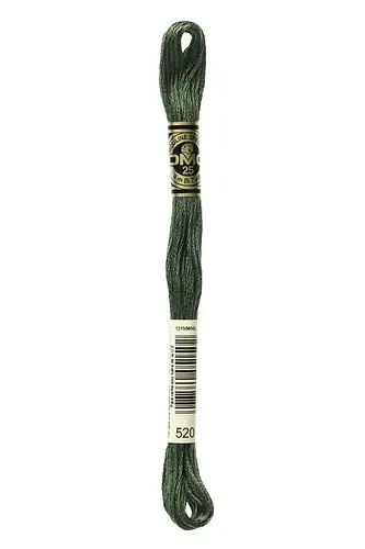 Embroidery Floss in Wild Wood 520