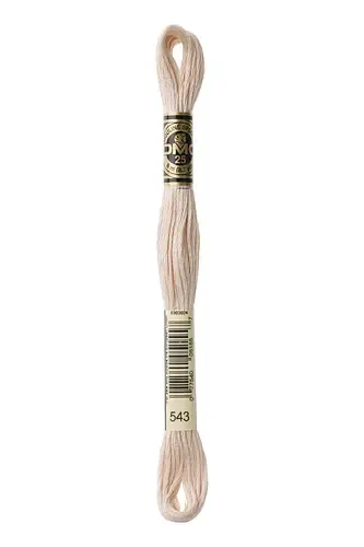 Embroidery Floss in Shell 543 