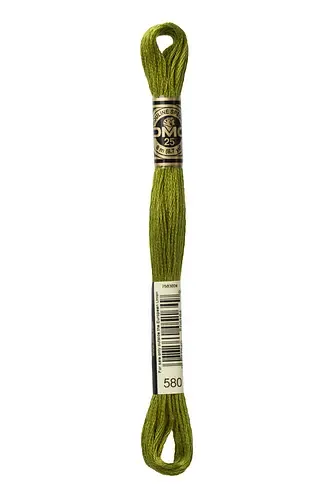 Embroidery Floss in Cactus 580
