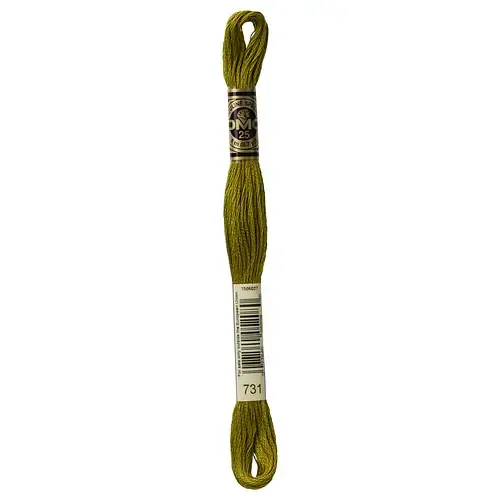 Embroidery Floss 731 