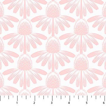 Coneflower in Blush
