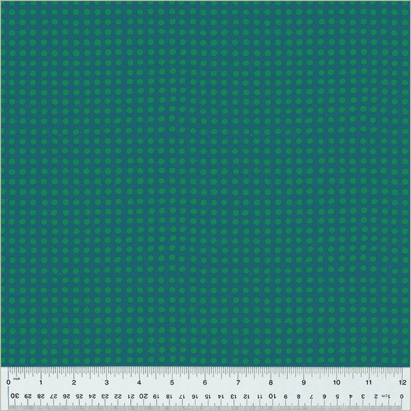 Dots in Kelp/Evergreen