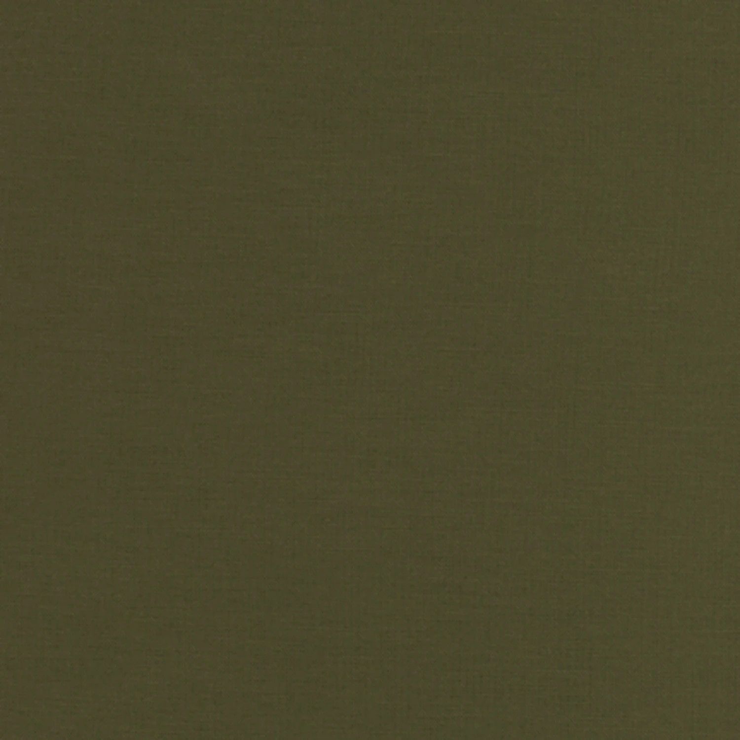 Kona Cotton in Moss