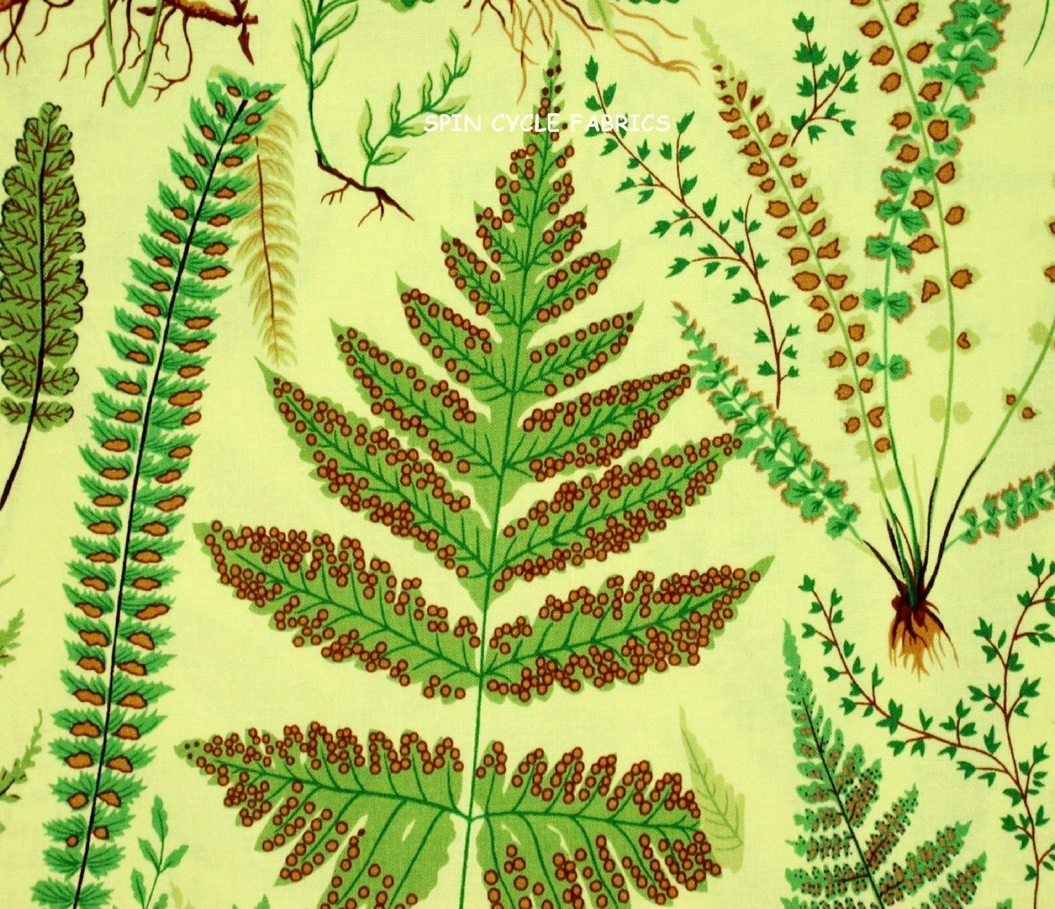 SALE Ferns in Yellow