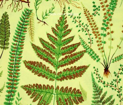 SALE Ferns in Yellow
