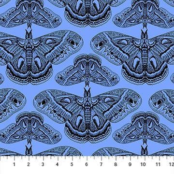 Cecropia in Cerulean