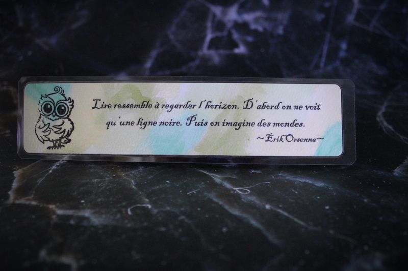 MP "Lire ressemble à regarder l'horizon..."