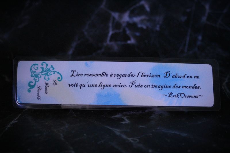 MP "Lire ressemble à regarder l'horizon..."