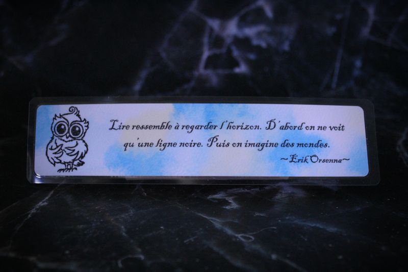 MP "Lire ressemble à regarder l'horizon..."