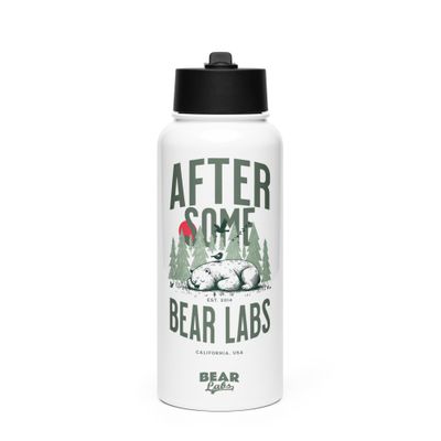 Stainless steel water bottle with a straw lid