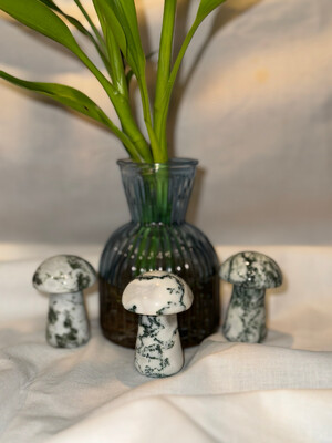 3in. Moss Agate Mushroom Carving