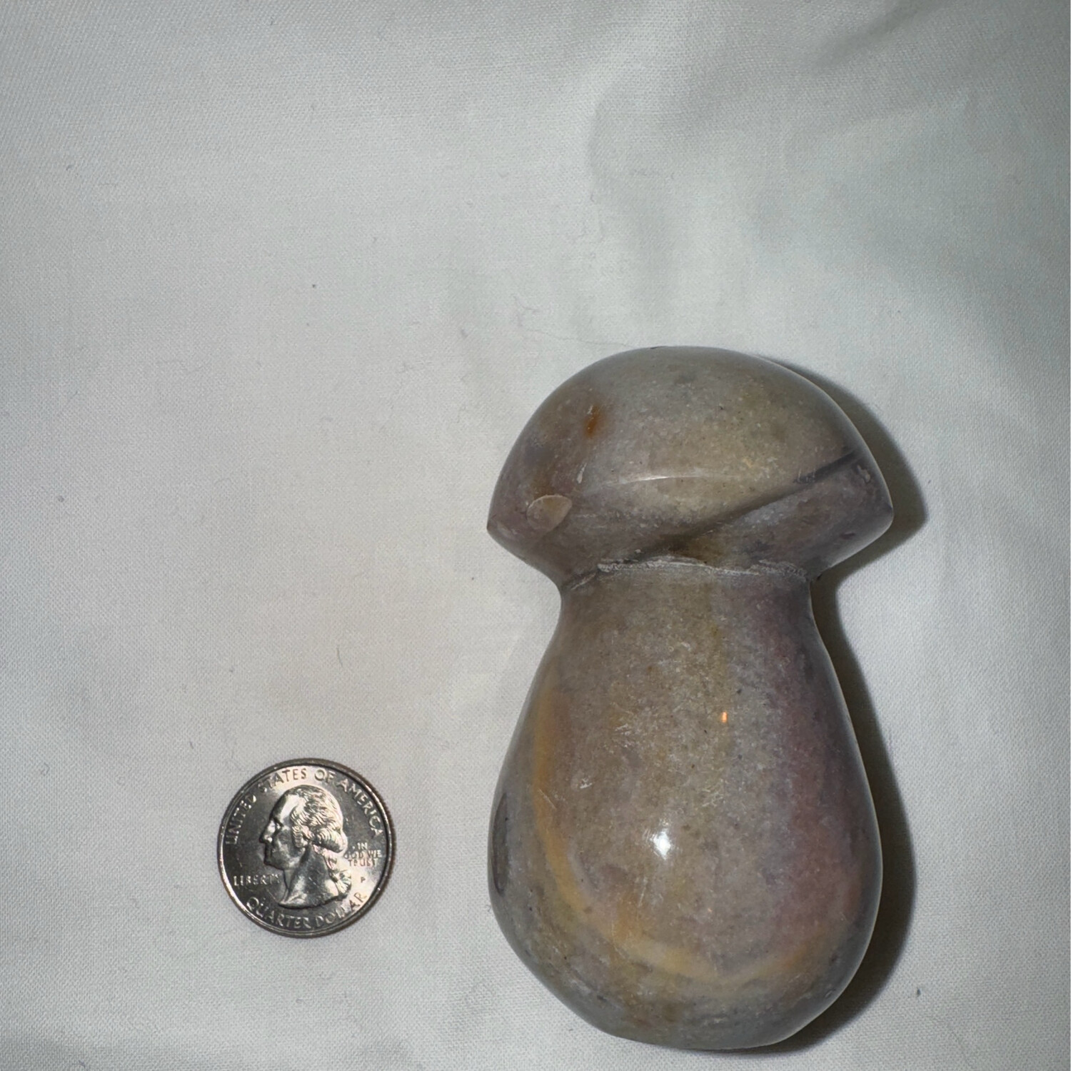 3in Ocean Jasper Mushroom Carving