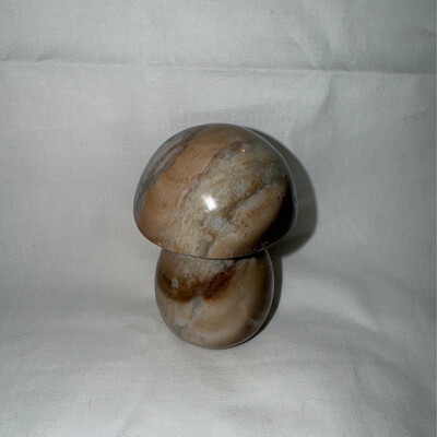 3in Ocean Jasper Mushroom Carving