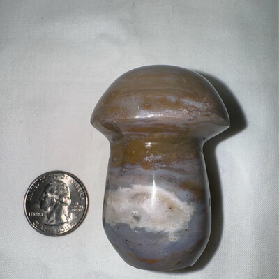 2in Ocean Jasper Mushroom Carving