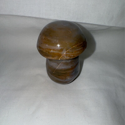 2in Ocean Jasper Mushroom Carving
