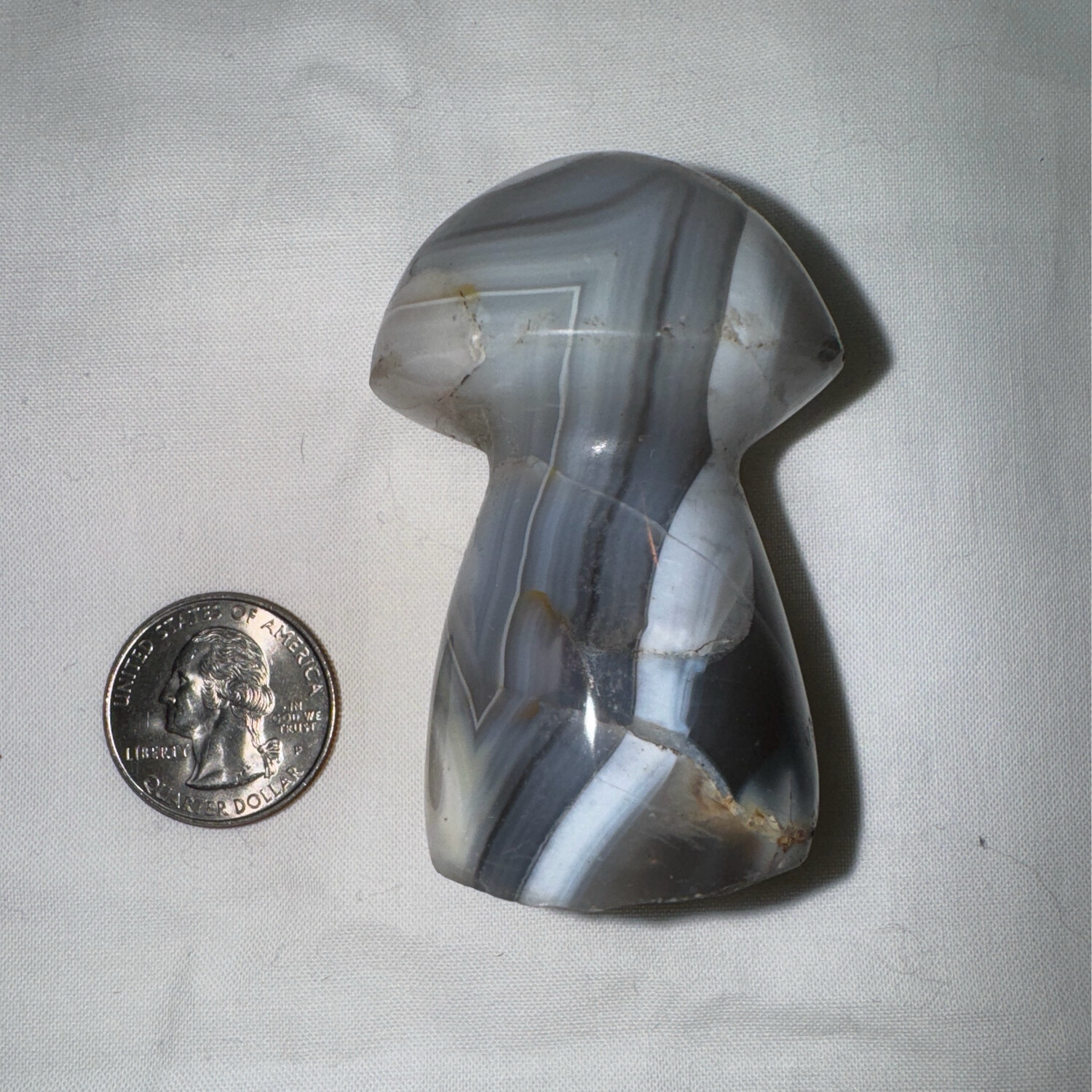 2.5in Orca Agate Mushroom Carving