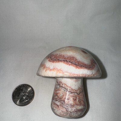 2.5in Eastern Jasper Mushroom Carving