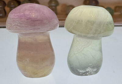 Fluorite Mushroom Pair #1