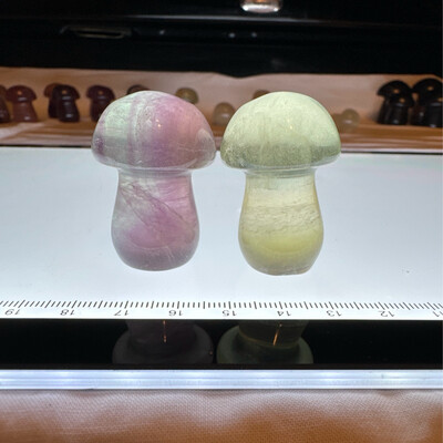Flourite Mushroom Pair #9