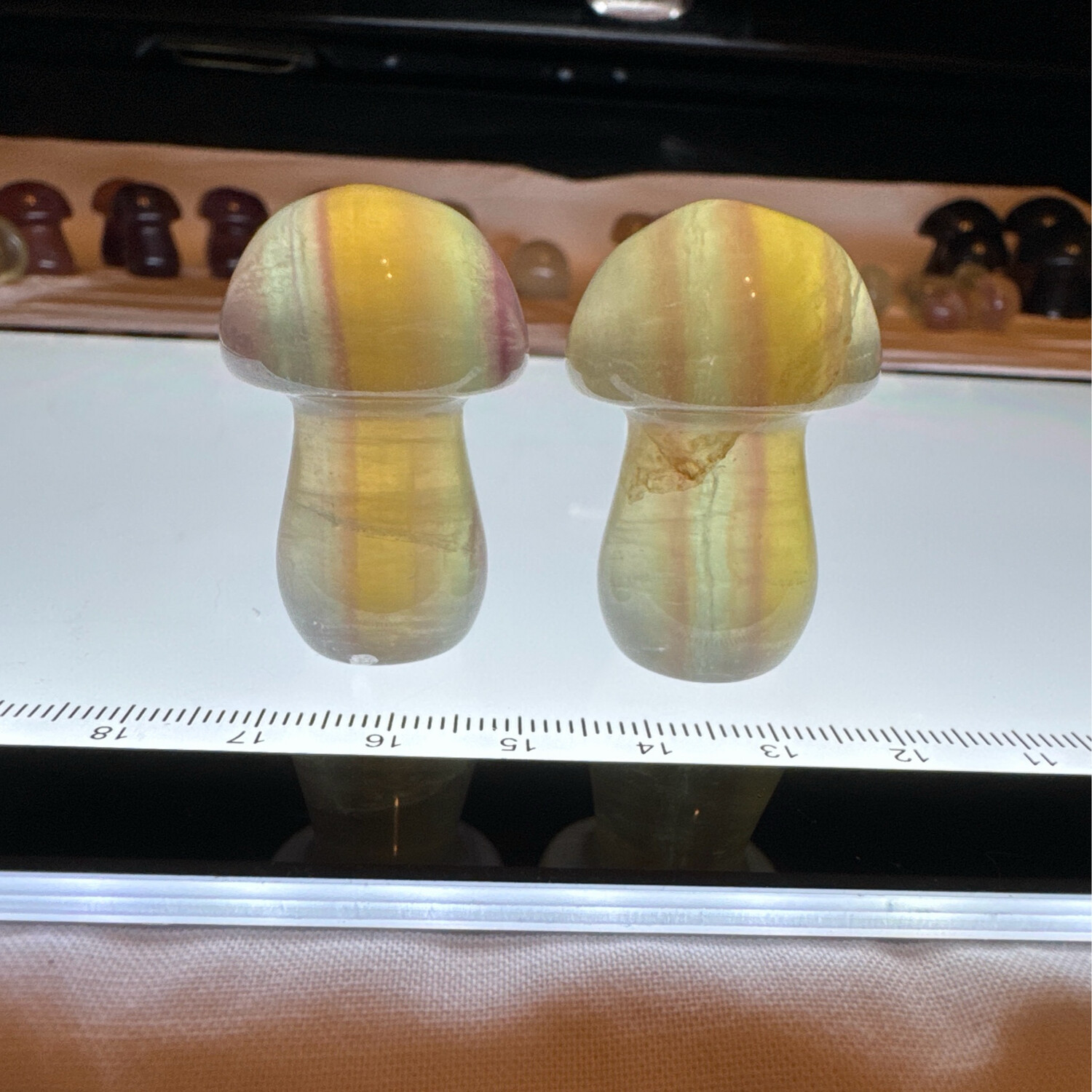 Fluorite Mushroom Pair #3