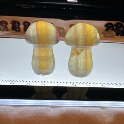 Fluorite Mushroom Pair #3