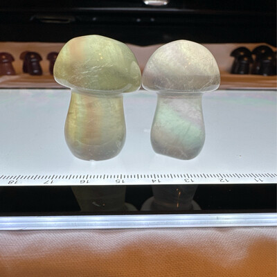 Flourite Mushroom Pair #11