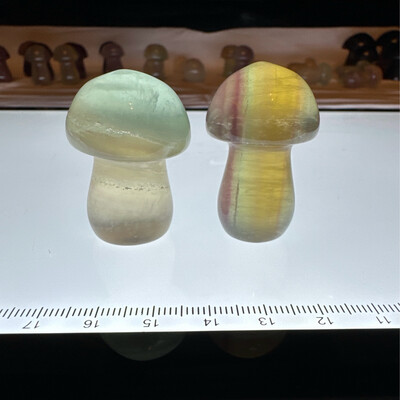 Fluorite Mushroom Pair #2