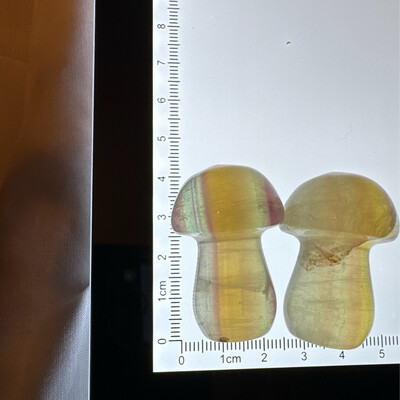 Fluorite Mushroom Pair #3