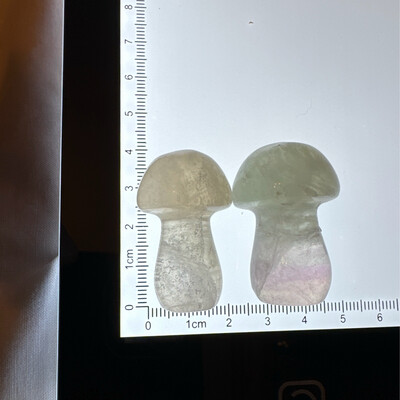 Flourite Mushroom Pair #4