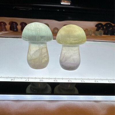 Flourite Mushroom Pair #7