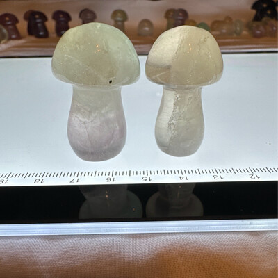 Flourite Mushroom Pair #4