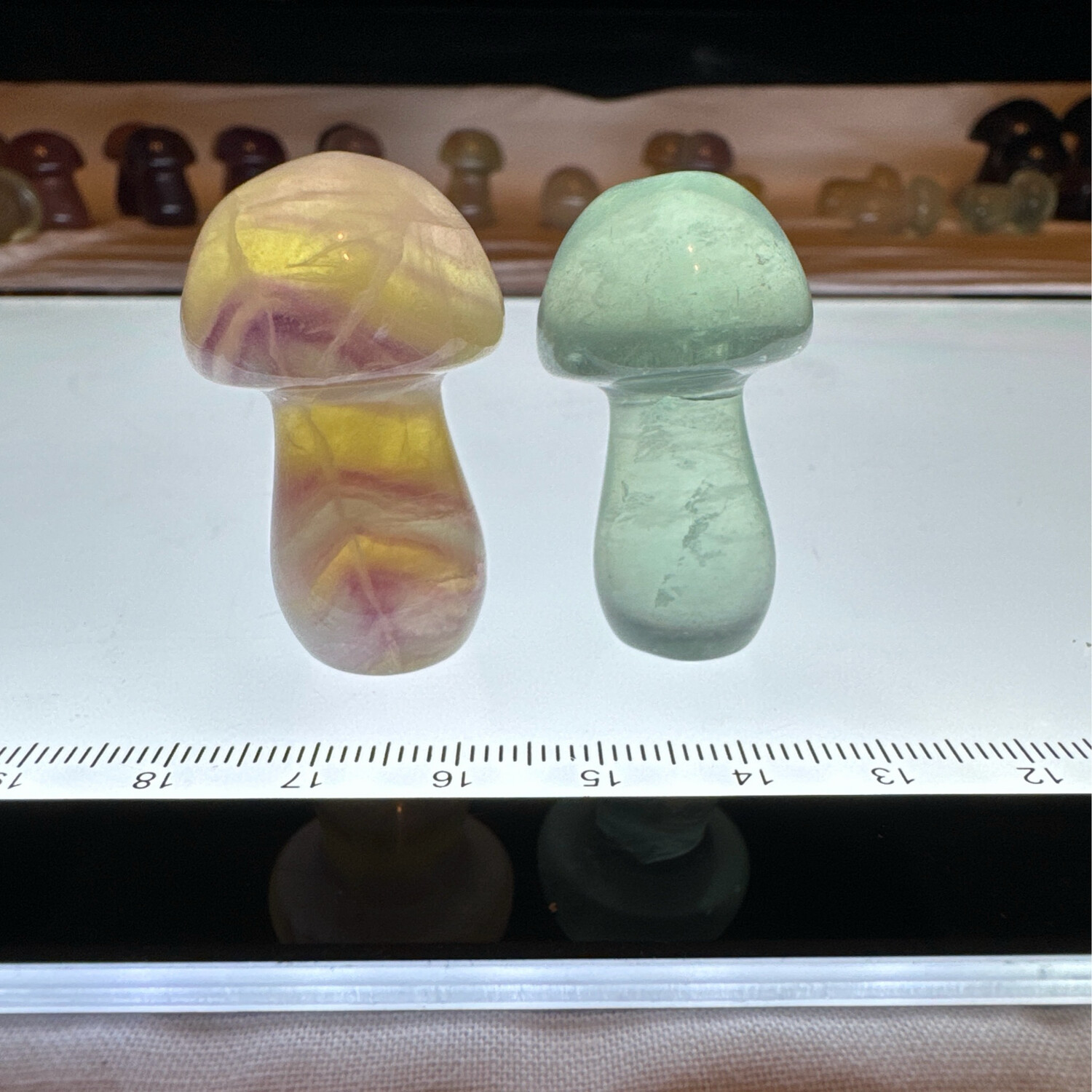 Flourite Mushroom Pair #5