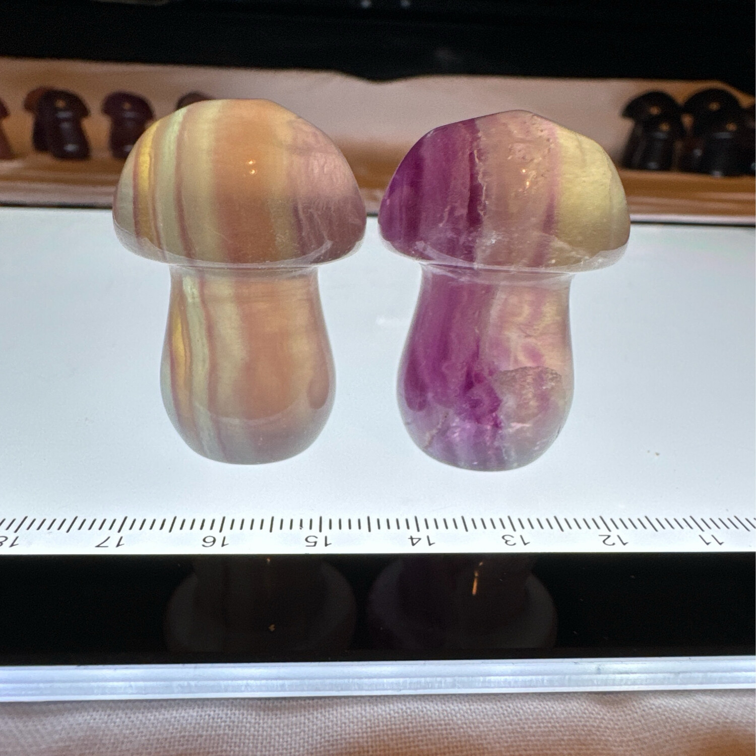 Flourite Mushroom Pair #12