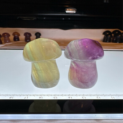 Flourite Mushroom Pair #15
