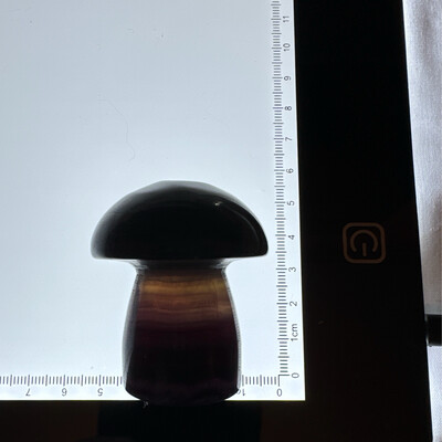 Flourite Mushroom Carving #5